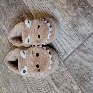 Dinosaur Slippers